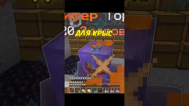 ЭТИ ИГРОКИ ПРИДУМАЛИ ГЕНИАЛЬНЫЙ ПЛАН, ЧТОБЫ... Анархия ФанТайм смотреть онлайн