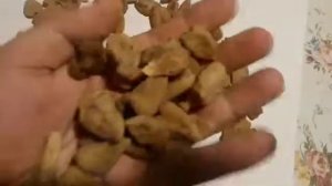 Ятрышник применение в медицине