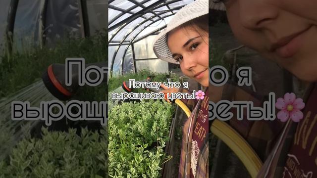 Да, это моя любовь уже 3 год, несмотря на молодой возраст😊 #петуния #цветы смотреть онлайн
