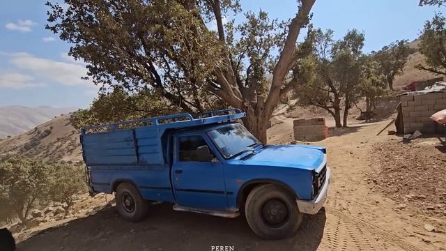 Nomadic Harmony: Experience The Art Of Plastering With A Nomadic Family