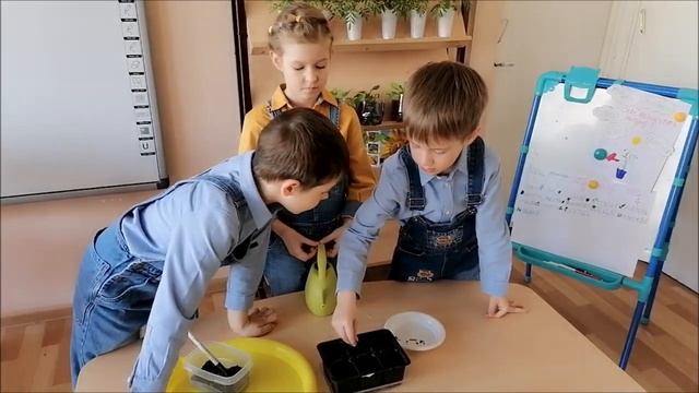 Профи дебют Профессионалы за работой ДС 193.mp4 смотреть онлайн