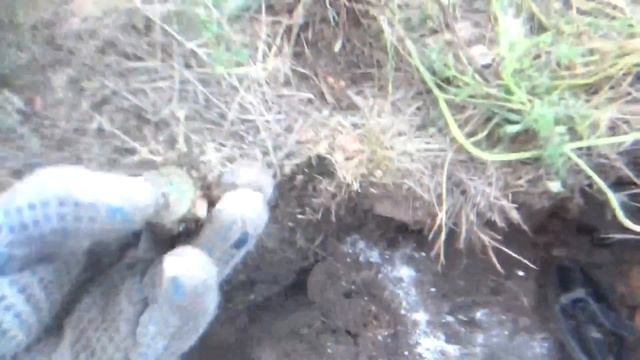 Появился ОН - и это надо заснять. 3-й день раскопок удался на славу! Ночной чугунок! смотреть онлайн