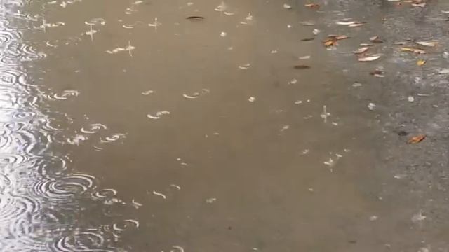 Осенняя мелодия дождя смотреть онлайн