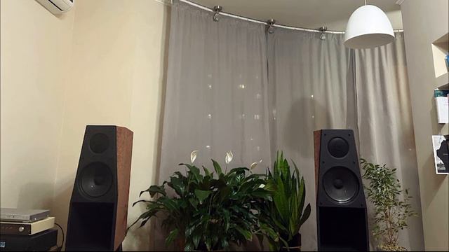 Darion -  BACH ERBARME DICH