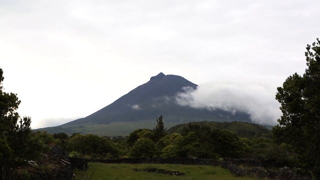 Значение имени Вольдемар: карма, характер и судьба смотреть онлайн