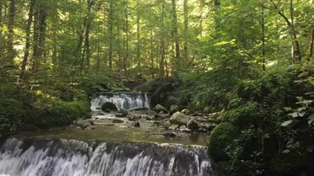 069. 3 ЧАСА РАССЛАБЛЕНИЯ ПОД ЗВУКИ РУЧЬЯ | НАНДИ И БАСМАКИ | relax смотреть онлайн