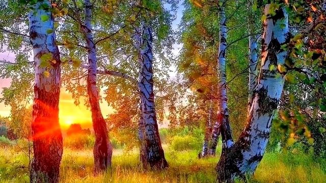 Я стала мудрой и не обижаюсь смотреть онлайн