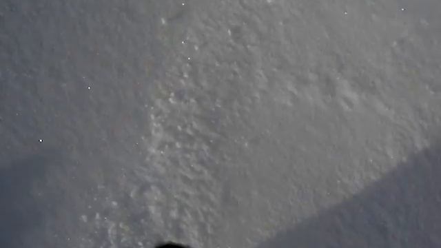 Fluffy snow makes Ross happy! смотреть онлайн