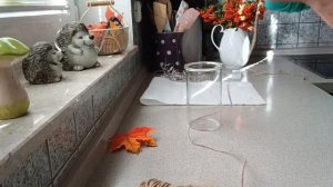 ?? КАК СОЗДАТЬ УЮТ В ДОМЕ /ОСЕННИЕ КРАСКИ/