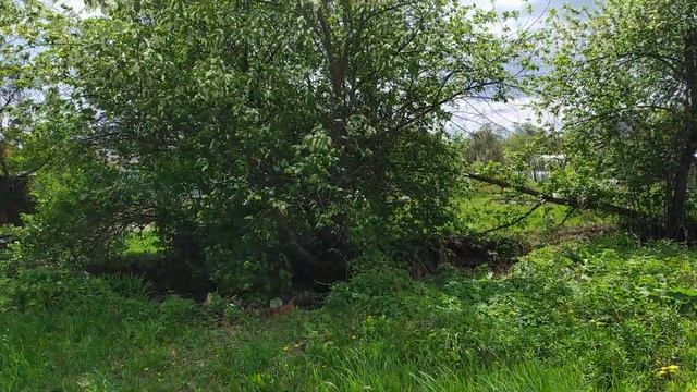 Дача общий вид 11.7 сотки в массиве Ракитовка-2. смотреть онлайн