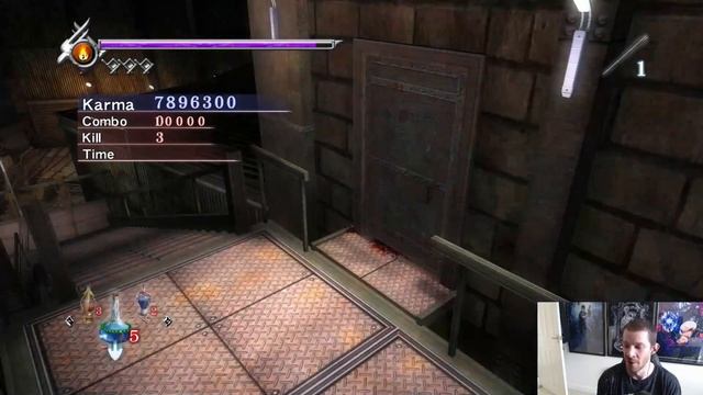 Ninja Gaiden Sigma - Master Ninja Mode 100% Completion Run