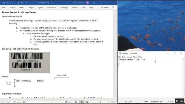 Zebra 123Scan: Creating a Data Parsing Rule (UDI Scan+, Label Parse+ and Blood Bag Parse+) смотреть онлайн
