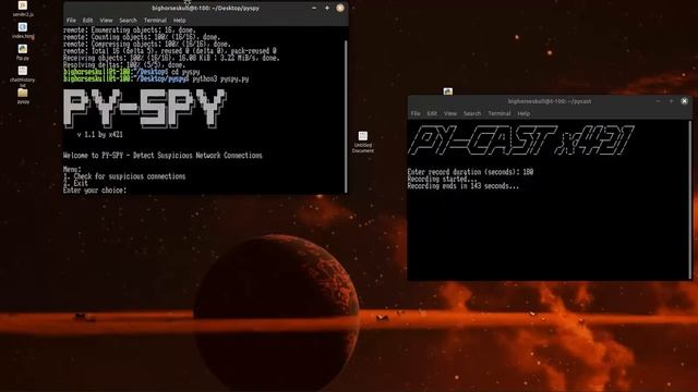 PY-SPY a lightweight and fast network diagnostic and scanning tool in python смотреть онлайн