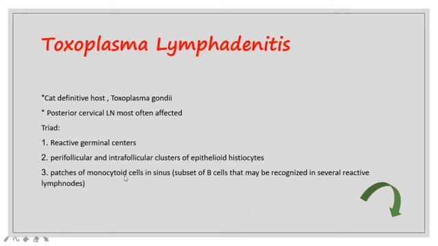 Pathology of lymph nodes смотреть онлайн