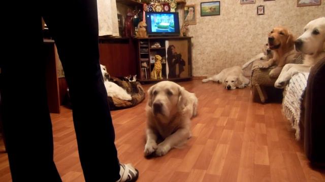 Шляпа и глазки смотреть онлайн