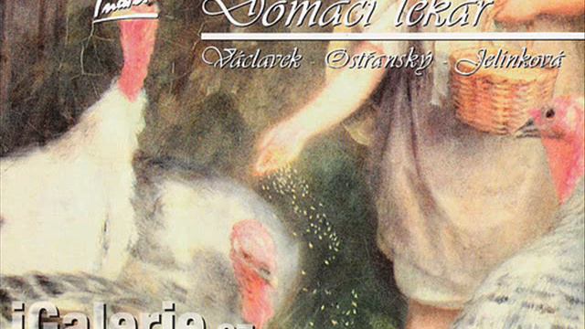 Nemám jen oči krásné - Domácí lékař Václavek, Ostřanský, Jelínková смотреть онлайн