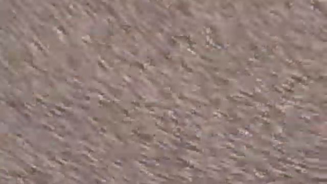 Jan 25 2007 VID00033 смотреть онлайн