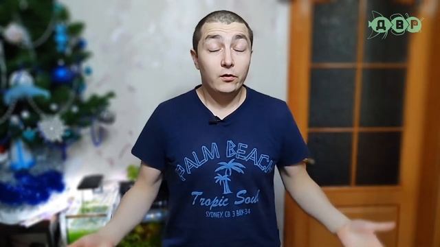 Как ХИЩНАЯ улитка ХЕЛЕНА кушает КРЕВЕТОК! смотреть онлайн