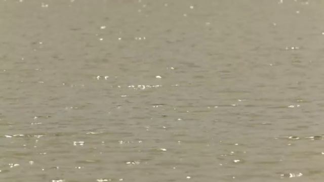 When Every Drop Counts (Hindi version): A documentary on the legacy of rainwater harvesting смотреть онлайн