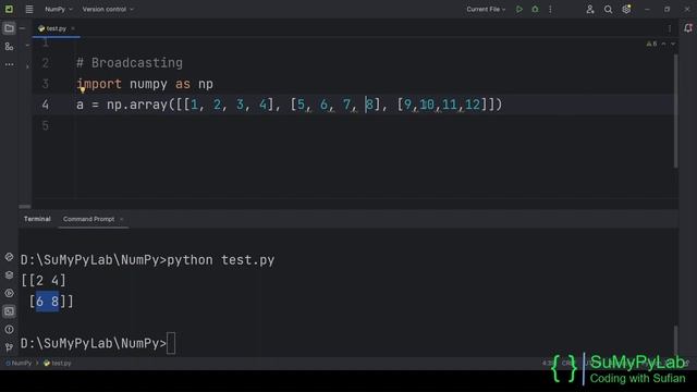 Working with NumPy Arrays | Working with NumPy ndarrays | SuMyPyLab смотреть онлайн
