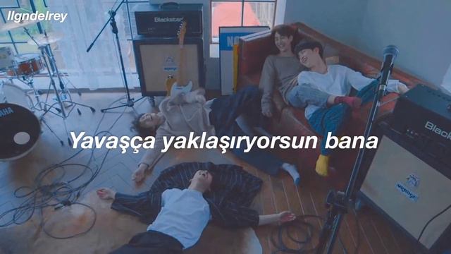 the rose - Red (Türkçe çeviri) смотреть онлайн