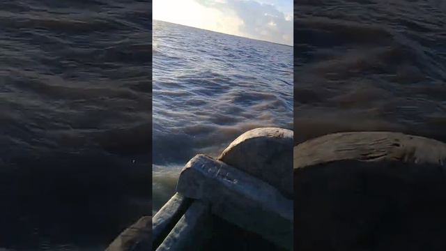 বন্ধুরা মিলে মাছ ধরতে যাচ্ছি বঙ্গোপসাগরে смотреть онлайн