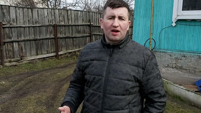 Вьетнамские свиньи. (ответы на вопросы) подворье tv смотреть онлайн