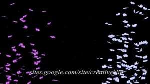 Футажи - Футажи, Для Видеомонтажа - Скачать бесплатно Футажи