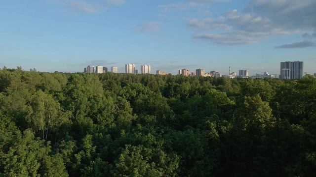 Парк лесоводов, Сагита Агиша, Менделеева, пр. Салавата Юлаева - Аэросъёмка с квадрокоптера в Уфе смотреть онлайн
