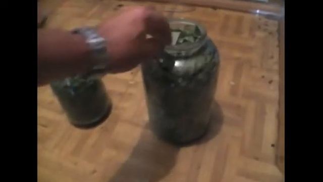 Отправили Иван чай на ферминтацию смотреть онлайн