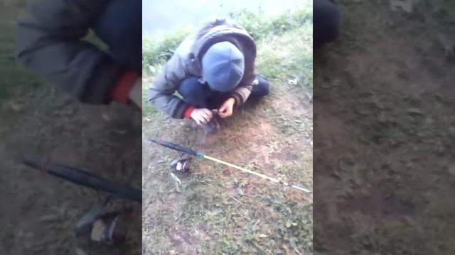 рыбалка на карася . Черемоново болото г. Городец, Нижегородская область. 01.10.2018. смотреть онлайн