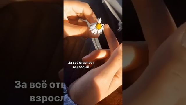 Детям деньги не нужны#путь #любовь #баланс #личность #деньги #финансы #мышление #взросление #ребено смотреть онлайн