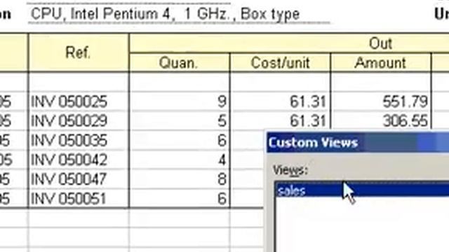 Microsoft Office Excel 2003 Delete a custom view смотреть онлайн