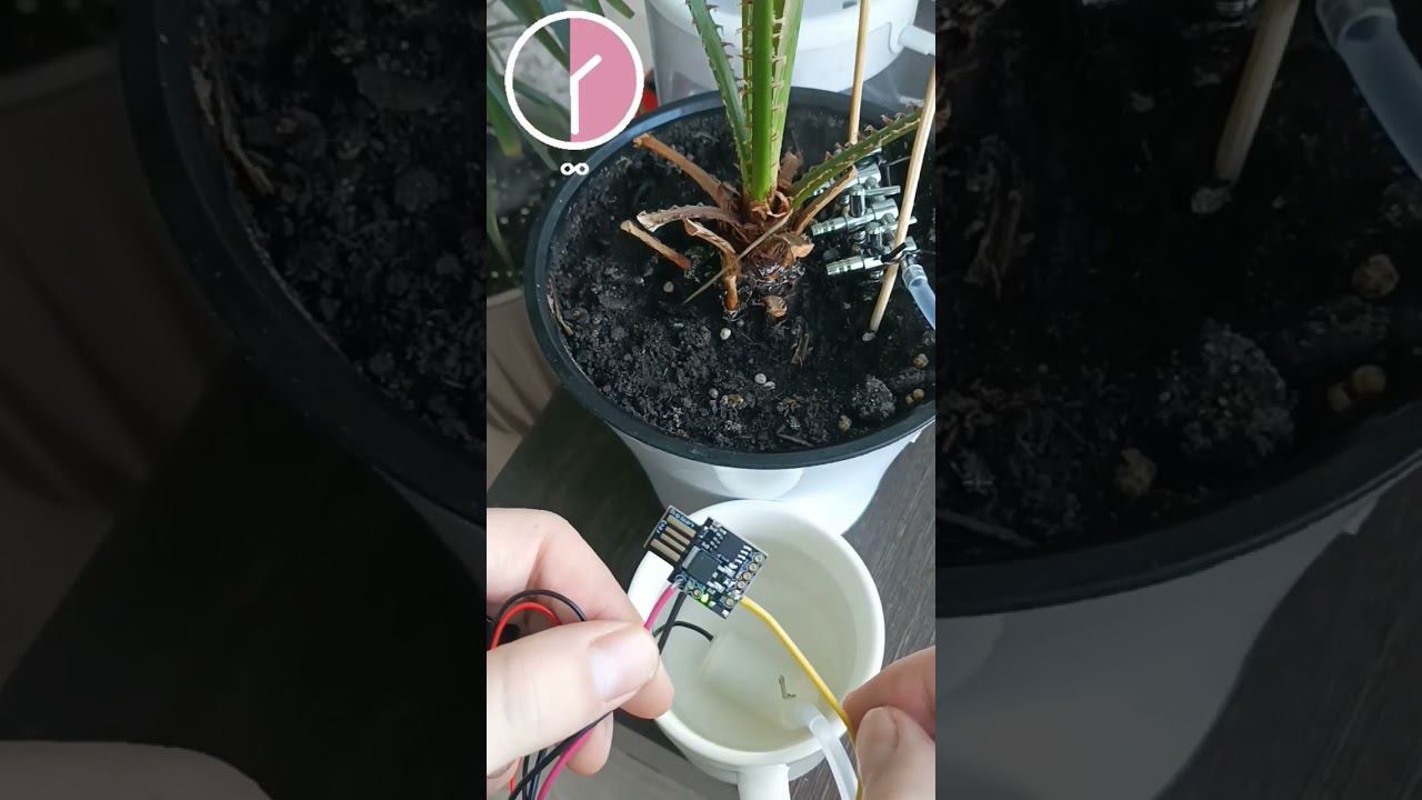 Автополив своими руками смотреть онлайн