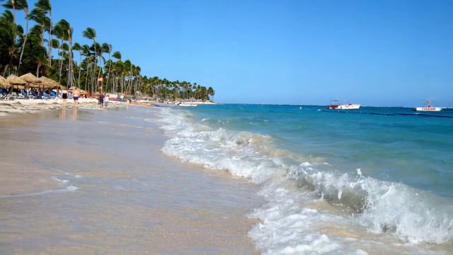 Dreams Palm Beach Resort & Spa Punta Cana смотреть онлайн