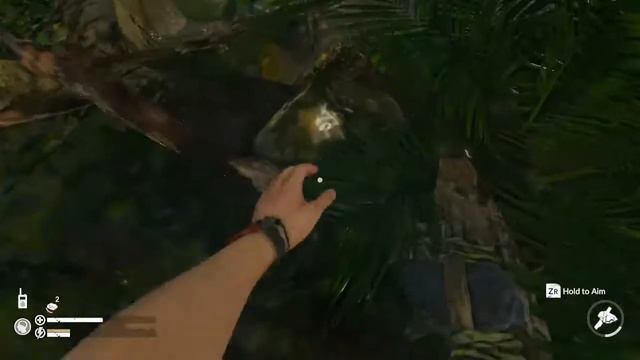 Green Hell Nintendo Switch смотреть онлайн