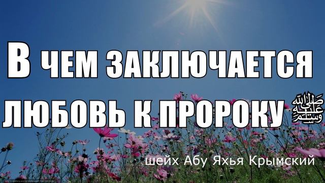 В чем заключается любовь к пророку ﷺ || шейх Абу Яхья Крымский смотреть онлайн