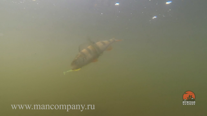 МК : Ловля на отводной поводок видео Full HD смотреть онлайн