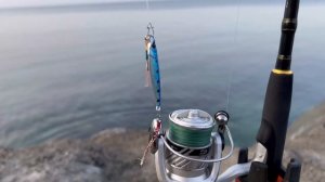 Ловля саргана на фидер и бомбарду. Рыбалка в Крыму