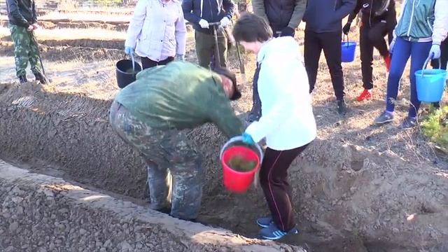 В Алтайском крае появилось более миллиона новых деревьев смотреть онлайн