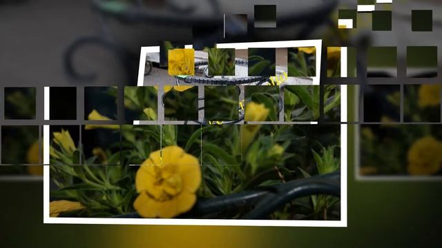 Изделия из металла. Полки под цветы. смотреть онлайн