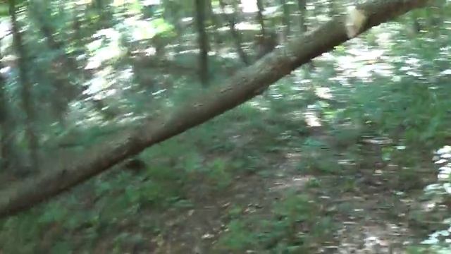 Вот это МОНСТР! Курьезы на КОПЕ! В поисках сокровищ / In search of treasures смотреть онлайн