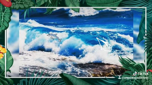 дельфины и море смотреть онлайн