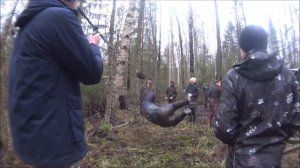 там Где Silverstone МT-117 XTREME не ВЛАСТВУЕТ / ЧТО ЛУЧШЕ Simex Extreme или Silverstone или САФАРИ