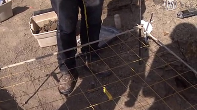 В роду трицератопсов появился новый вид динозавров смотреть онлайн