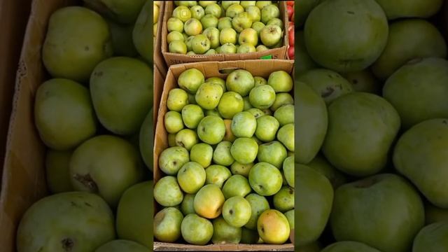 Крым , Желябовка , опт цены от 10.10.23 . Фрукты . смотреть онлайн