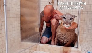 Грязнуля Месси