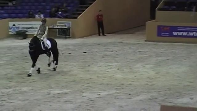 Clinic Friesian Dressage Leeuwarden.MOD смотреть онлайн