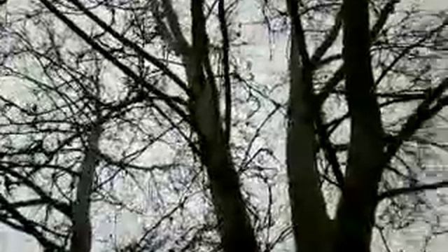 Строительные Отчеты