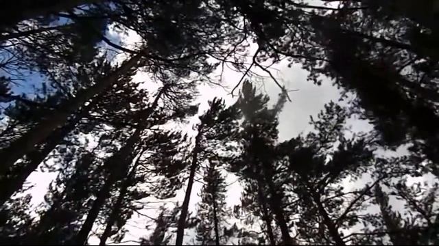 Английский текст,197,учить английский урок, стихи Осенний ветер, смотреть онлайн